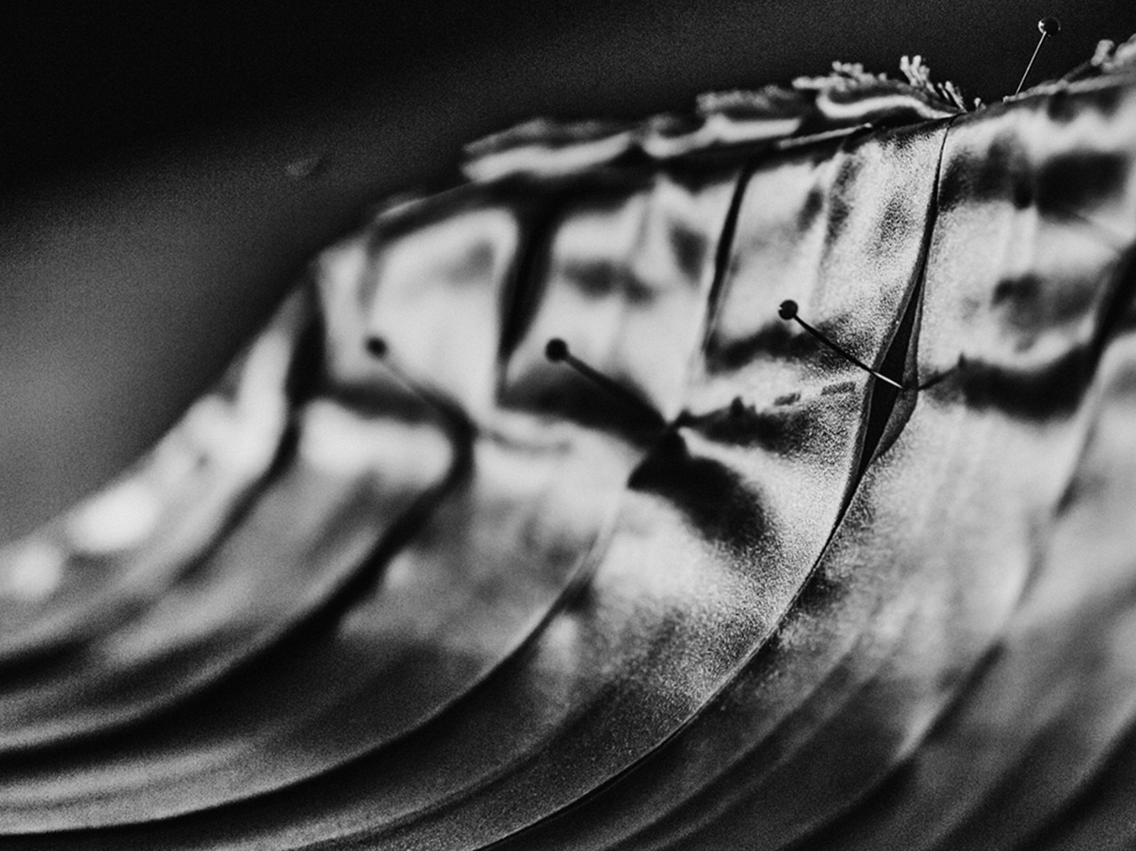 Studio Invenio Flory DS